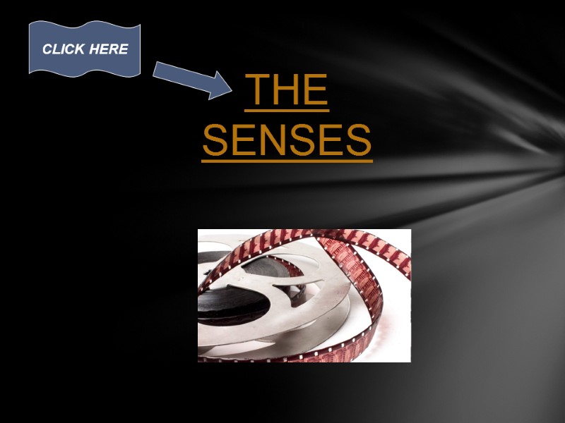 THE SENSES CLICK HERE